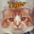 Tiger's avatar