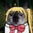 cosmospice's avatar