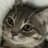 ASharpp's avatar