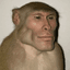 [Albert]'s avatar