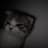 twitch chat's avatar