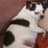josiaxarg's avatar