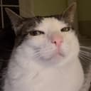 OnlyJacob's avatar