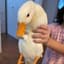 KevinRJF's avatar