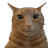 [LS]Mitter's avatar