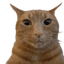 [LS]Mitter's avatar