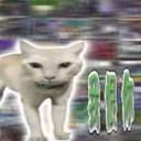LiangFenFan's avatar