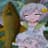 PeachMarrow's avatar