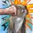 Hello_Son's avatar