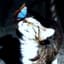 Eeriee's avatar