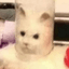 AntiMach's avatar