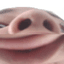 CapyGMD's avatar