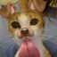 ChickenChaser's avatar
