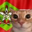 nizaxaX's avatar