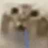zKuri's avatar