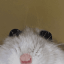WandrYondr's avatar