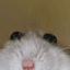 WandrYondr's avatar