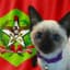 Aigisfangirl's avatar