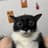 [Paw]fenku's avatar