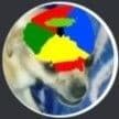 foxyops's avatar