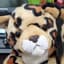 Jaguar's avatar