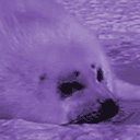 ConsumerOfBean's avatar