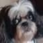 Skyme's avatar