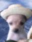 AradORiOn_MMM's avatar